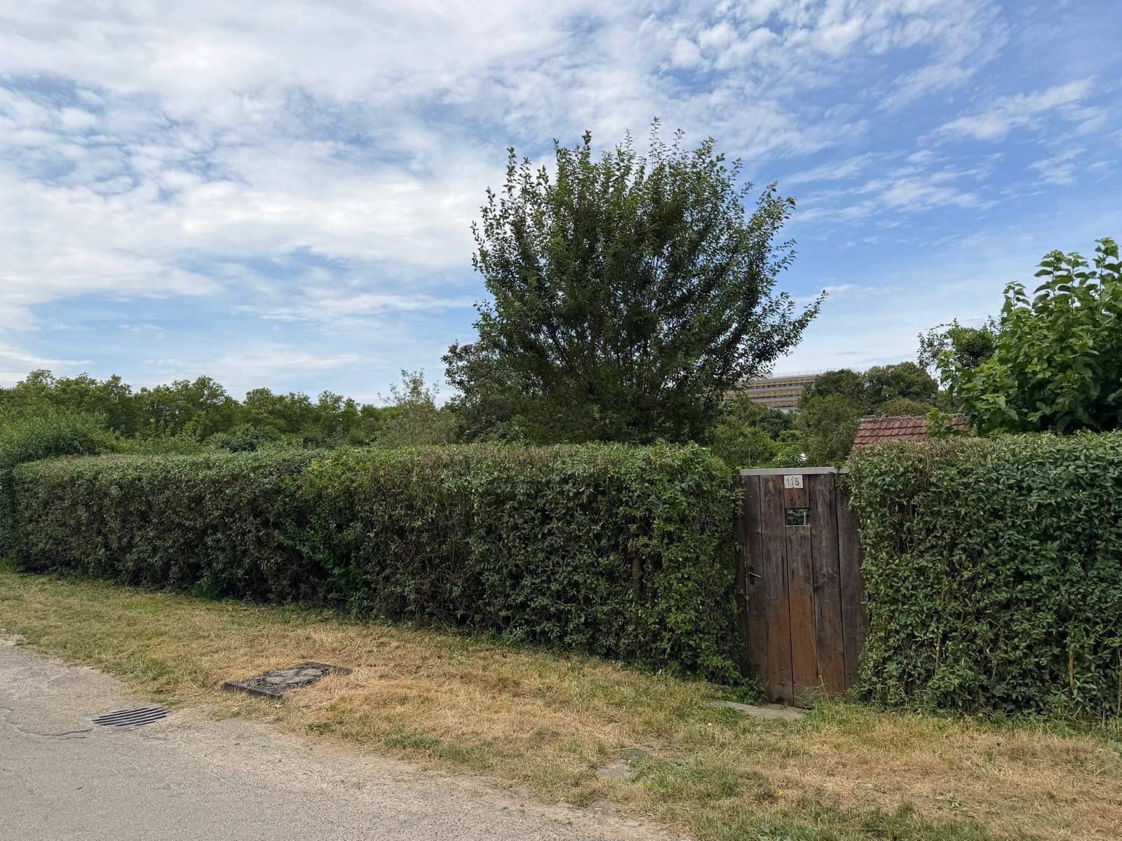 Hecke geschnitten – Gartenpflege in Heilbronn & Umgebung – Nachher